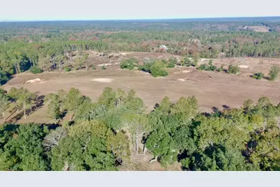65 Acres Wagener Road, Aiken, SC 29801 - Photo 28