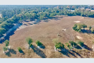 65 Acres Wagener Road, Aiken, SC 29801 - Photo 40