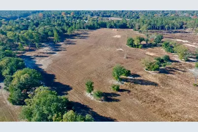 65 Acres Wagener Road, Aiken, SC 29801 - Photo 34