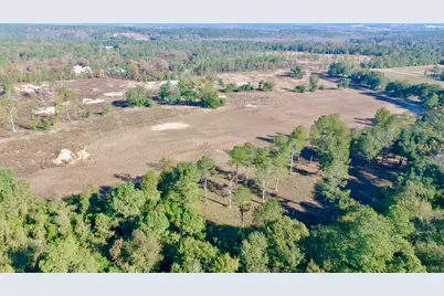 65 Acres Wagener Road, Aiken, SC 29801 - Photo 26