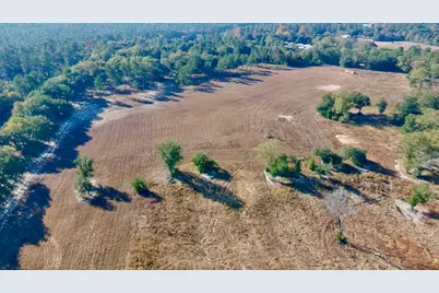 65 Acres Wagener Road, Aiken, SC 29801 - Photo 36