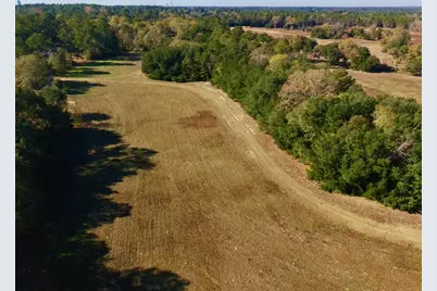 77 Acres Wagener Road, Aiken, SC 29801 - Photo 6