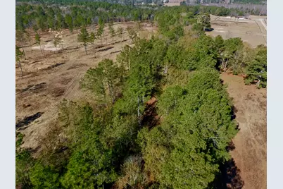 77 Acres Wagener Road, Aiken, SC 29801 - Photo 22