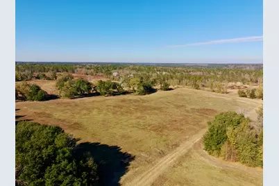 77 Acres Wagener Road, Aiken, SC 29801 - Photo 8