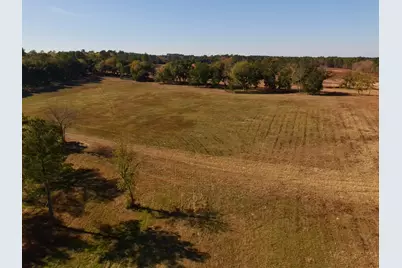 77 Acres Wagener Road, Aiken, SC 29801 - Photo 14