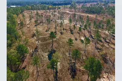 77 Acres Wagener Road, Aiken, SC 29801 - Photo 24