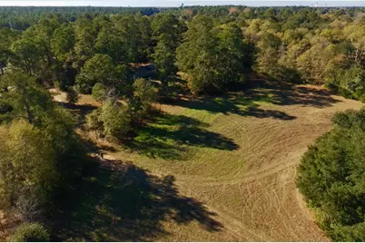 77 Acres Wagener Road, Aiken, SC 29801 - Photo 4