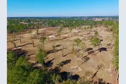 77 Acres Wagener Road, Aiken, SC 29801 - Photo 20