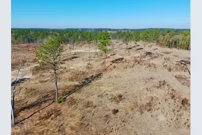 77 Acres Wagener Road, Aiken, SC 29801 - Photo 28