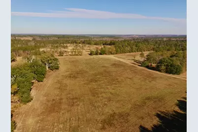 77 Acres Wagener Road, Aiken, SC 29801 - Photo 10
