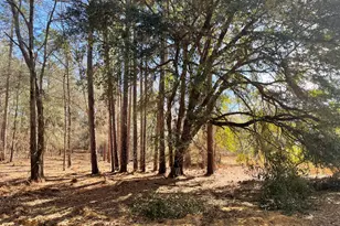 751 Old Kennel Rd, Aiken, SC 29805 - Photo 1