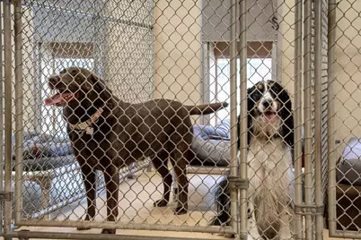 1029 Shell Bluff Drive, Aiken, SC 29803 - Photo 62