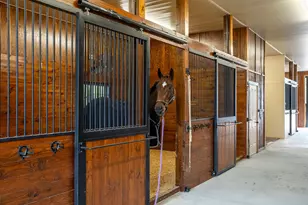 1029 Shell Bluff Dr, Aiken, SC 29803 - Photo 56