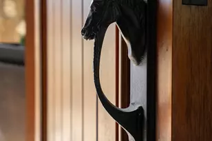 1029 Shell Bluff Dr, Aiken, SC 29803 - Photo 14