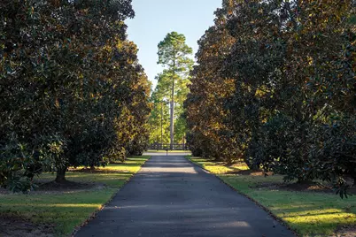 1029 Shell Bluff Drive, Aiken, SC 29803 - Photo 82