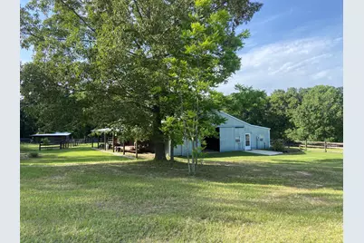 357 Collum Pond Road, Wagener, SC 29164 - Photo 6