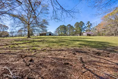 357 Collum Pond Road, Wagener, SC 29164 - Photo 68