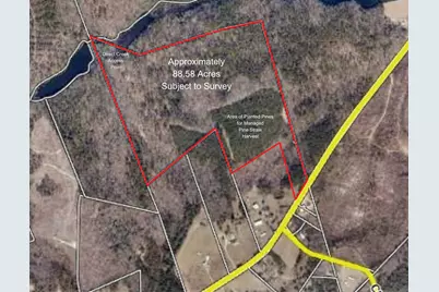 88.58 Acre Collum Pond Road, Wagener, SC 29164 - Photo 2