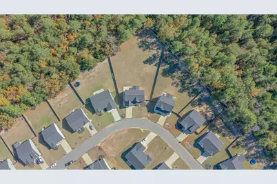 4201 Fringetree Loop, Aiken, SC 29803 - Photo 58