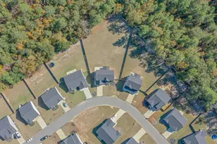 4201 Fringetree Loop, Aiken, SC 29803 - Photo 58