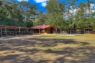 4886 Charleston Hwy, Williston, SC 29853 - Photo 10