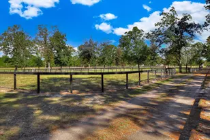 4886 Charleston Hwy, Williston, SC 29853 - Photo 72