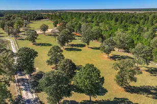 4886 Charleston Hwy, Williston, SC 29853 - Photo 60