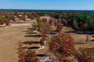 4886 Charleston Hwy, Williston, SC 29853 - Photo 100