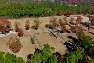 4886 Charleston Hwy, Williston, SC 29853 - Photo 70