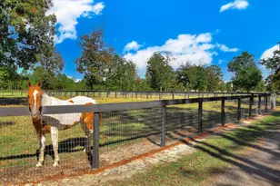 4886 Charleston Hwy, Williston, SC 29853 - Photo 52