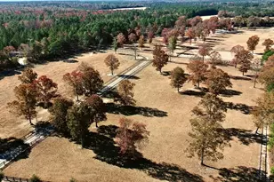 4886 Charleston Hwy, Williston, SC 29853 - Photo 90