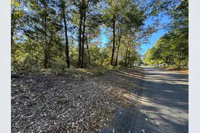 Lot #1 Charles Street, Jackson, SC 29831 - Photo 6