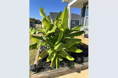 375 Eliis Ferry Road, Gaffney, SC 29341 - Photo 22