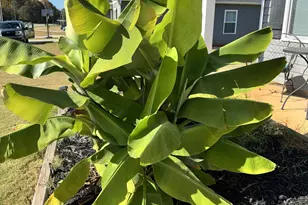 375 Eliis Ferry Rd, Gaffney, SC 29341 - Photo 22