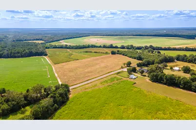 Tbd Union Academy Road, Salley, SC 29137 - Photo 2