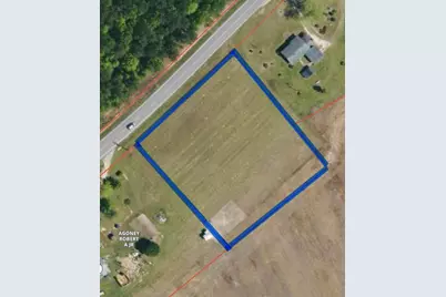 Tbd Binnicker Bridge Road, Cope, SC 29038 - Photo 4