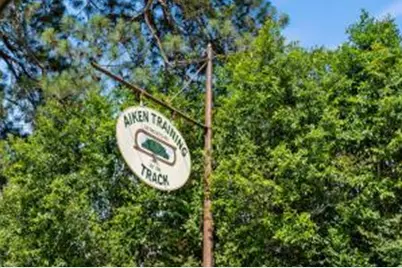 4393 Hartshorn Circle, Aiken, SC 29801 - Photo 56