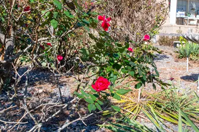 1515 Brookstone Drive, Graniteville, SC 29829 - Photo 24