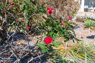 1515 Brookstone Dr, Graniteville, SC 29829 - Photo 24