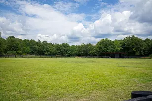 2300 Salley Rd, Salley, SC 29137 - Photo 92
