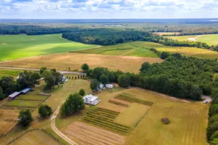 2300 Salley Rd, Salley, SC 29137 - Photo 2