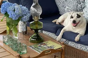 2300 Salley Rd, Salley, SC 29137 - Photo 52