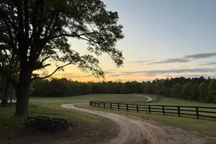 2300 Salley Rd, Salley, SC 29137 - Photo 88