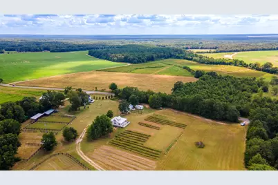 2300 Salley Road, Salley, SC 29137 - Photo 100