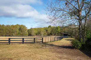 2300 Salley Rd, Salley, SC 29137 - Photo 90