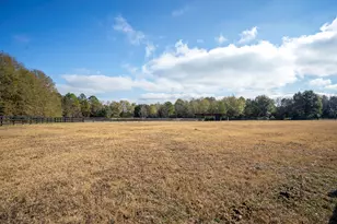 2300 Salley Rd, Salley, SC 29137 - Photo 82