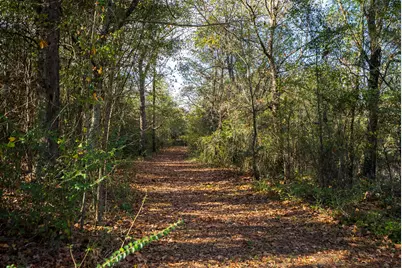 2300 Salley Road, Salley, SC 29137 - Photo 86
