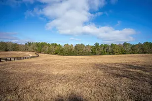 2300 Salley Rd, Salley, SC 29137 - Photo 74