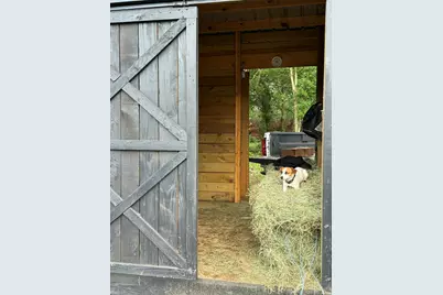 2300 Salley Road, Salley, SC 29137 - Photo 80