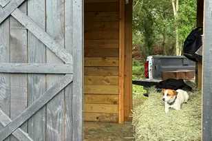 2300 Salley Rd, Salley, SC 29137 - Photo 80